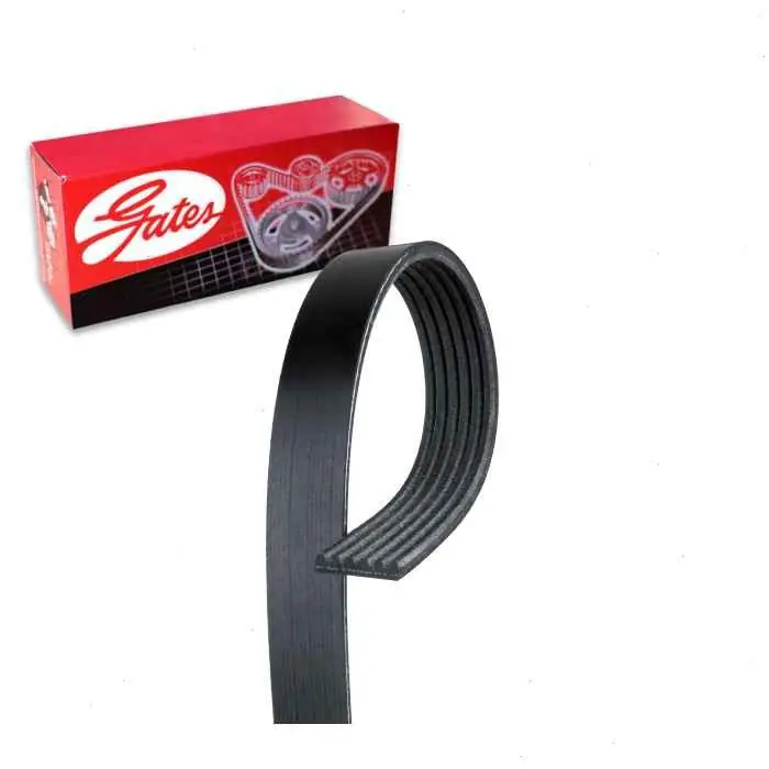 1981-1983 Jeep Cherokee 4.2L L6 Gates Micro-V Serpentine Belt - Accessory Drive - Belts Cooling Must Have