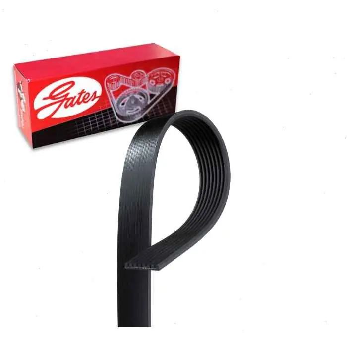 1997-2001 Ford E-250 Econoline 5.4L V8 Gates Micro-V Serpentine Belt - Accessory Drive - Belts Exclusive